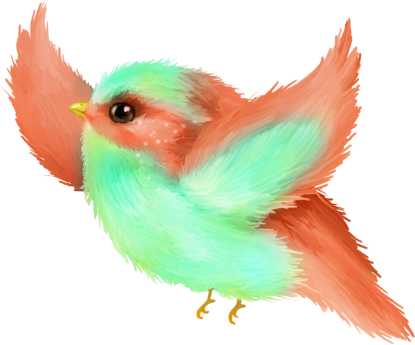 Chicken, Food Cakes, Pictures To Draw, Paint, Birds - Coraciiformes (600x499)