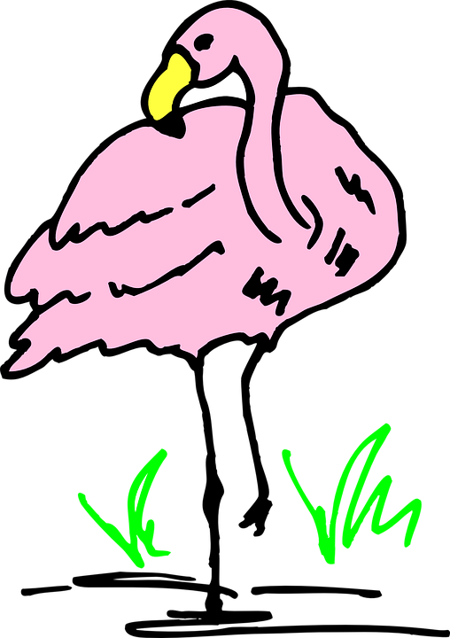 Cartoon, Pink, Bird, Grass, Art, Flamingo - New Home Congrats Card (508x720)