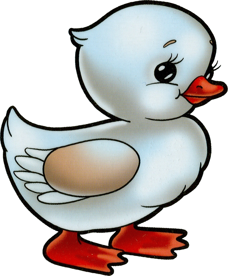 Clipart Duck (798x964)