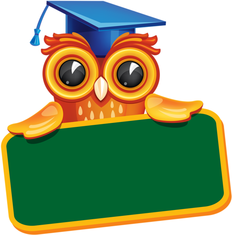 24-1 - Owl With Diploma Png (486x500)