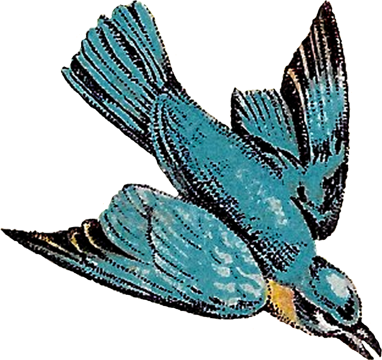 This Vintage Bird Drawing Artwork Is Very Pretty, Showing - Flying Bird Antique (1521x1600)