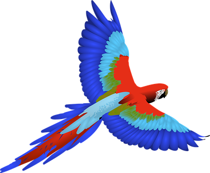 Bird Feathers Flying Macaw Wings Bird Bird - Flying Parrot Clipart (413x340)