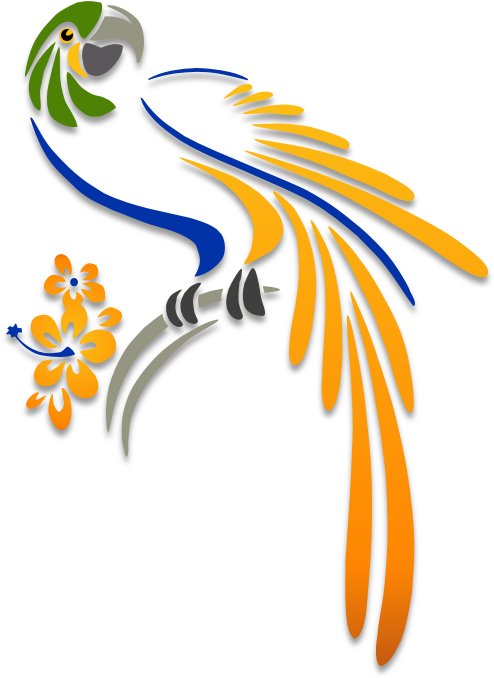 Parrot - Illustration - Illustration (500x683)