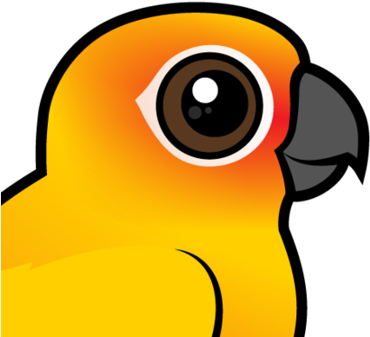 About The Sun Parakeet - Cartoon Sun Conure (440x440)