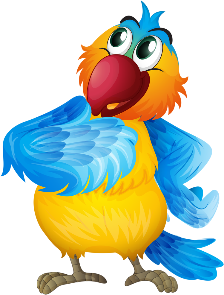 Aves & Passáros & Corujas Etc - Cuatro Loros Dibujo (951x1024)