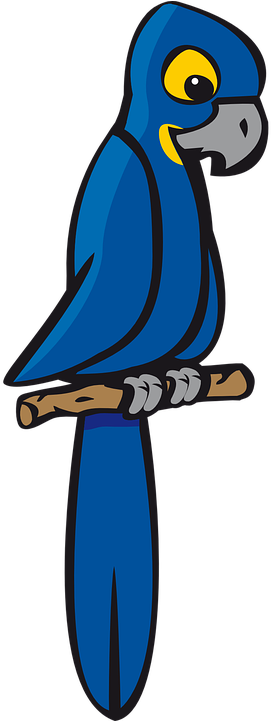 Bird, Blue, Jungle, Macaw, Parrot, Rainforest - Clip Art Blue Macaw (360x720)