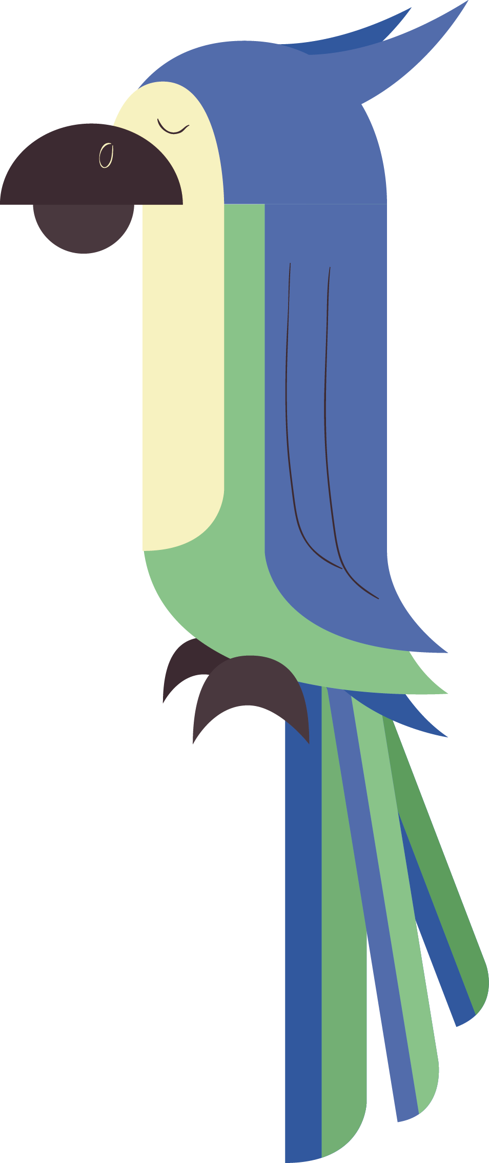 Parrot Bird Beak Clip Art - Parrot Bird Beak Clip Art (954x2265)