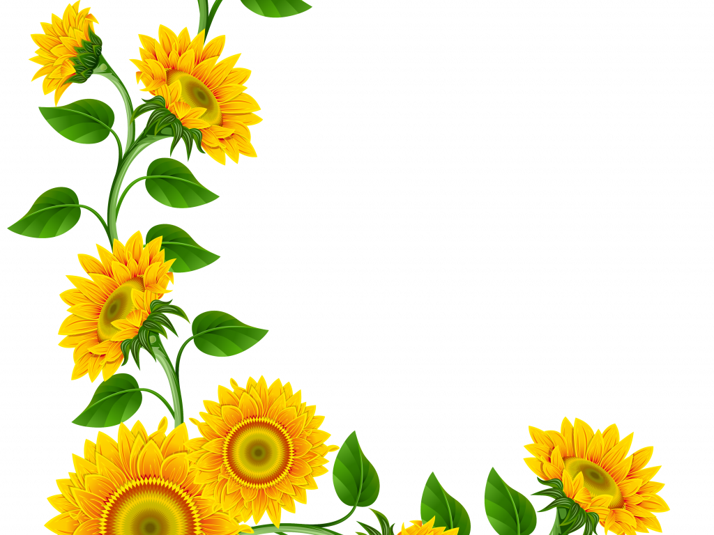 Download Excellent Sunflower Border Clip Art Free - Download Excellent Sunflower Border Clip Art Free (1024x768)