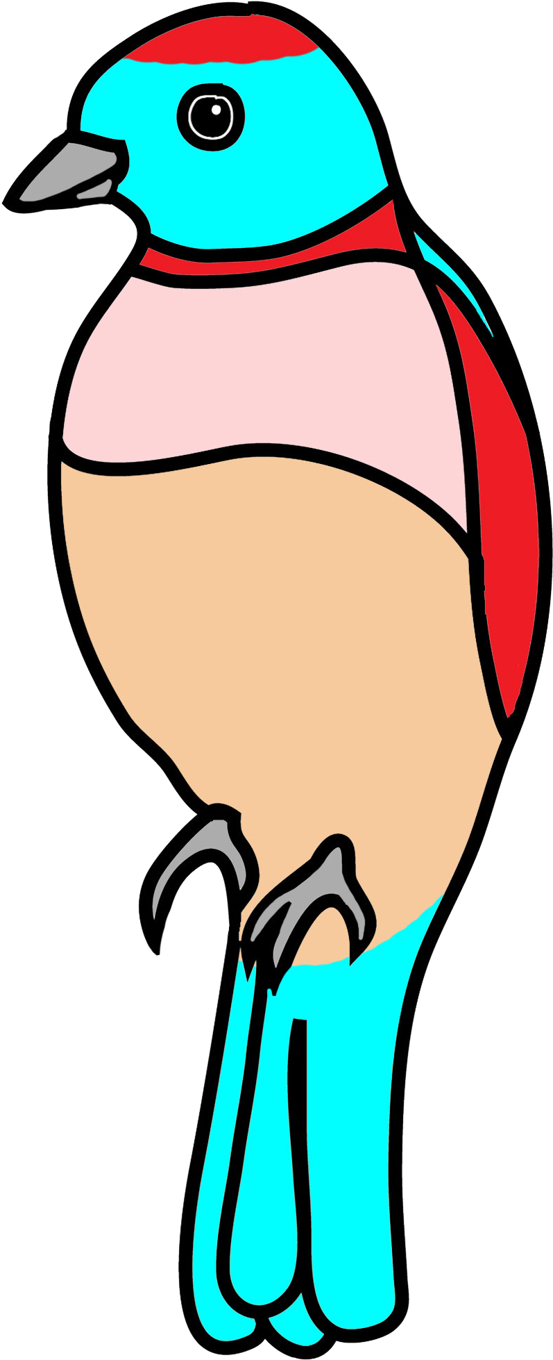 Flying Bird Colored Fantasy - Drawing (827x1976)