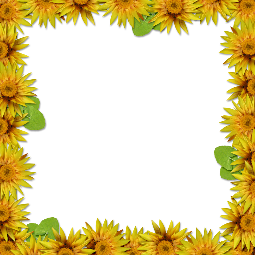 Flower Frame Overlay 2 By Hggraphicdesigns - Punjabi Status For Tar (894x894)
