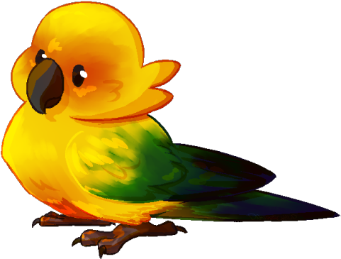 Bird Png Clipart - Sun Conure Cartoon Png (500x409)