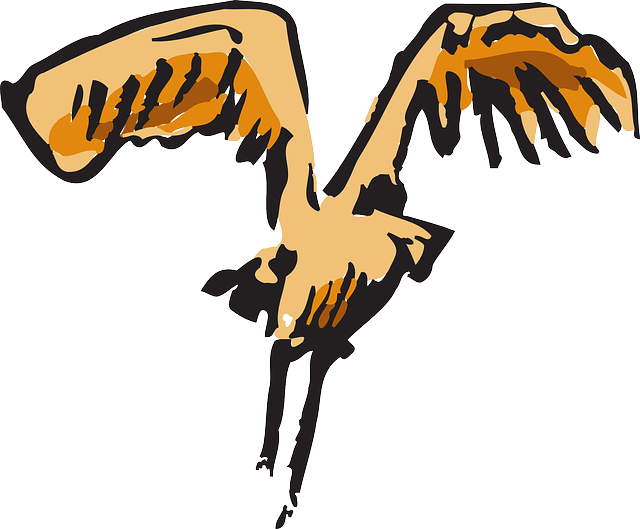 Feathers Bird, Wings, Art, Animal, Landing, Feathers - Bird (640x529)