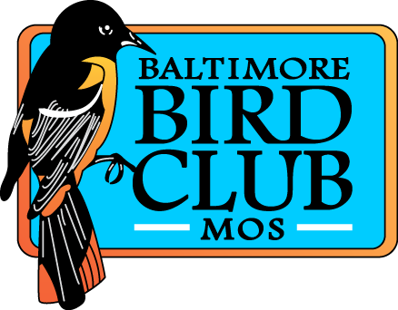 The Baltimore Bird Club - Logo Bird Club (438x342)
