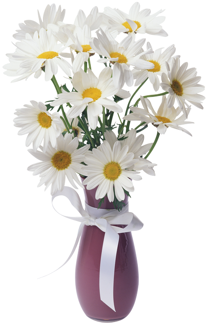 Daisies Transparent Vase Bouquet - Flower Vase Png Transparent (450x663)
