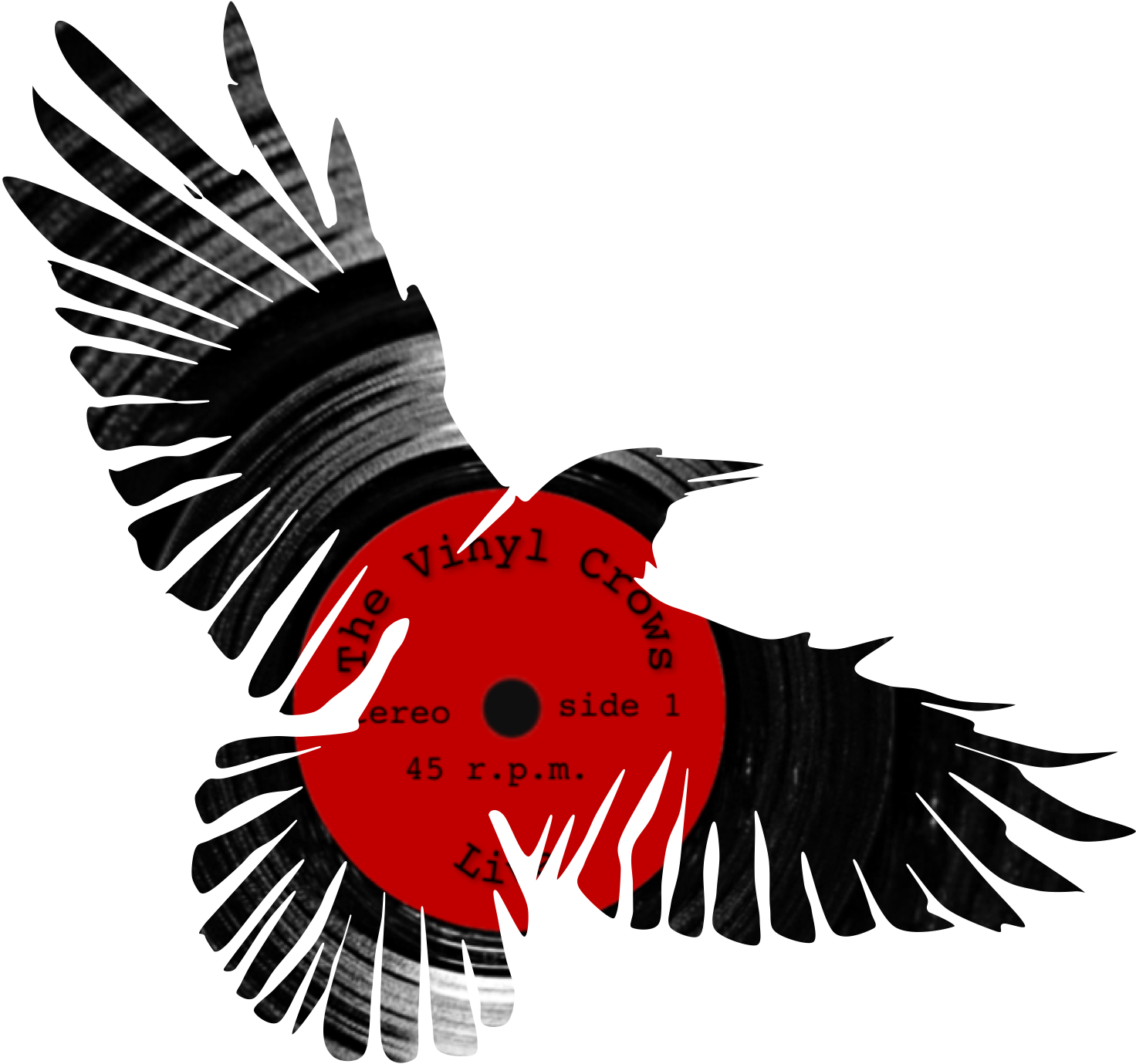 The Vinyl Crows Formed In January This Year - Turkey (1472x1379)