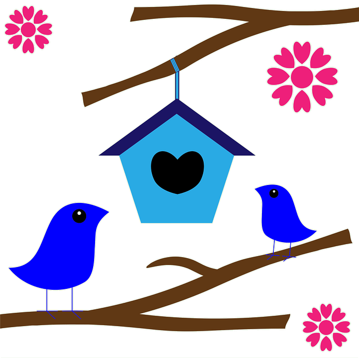 Bird Nest Box Clip Art - Bird Nest Box Clip Art (721x720)