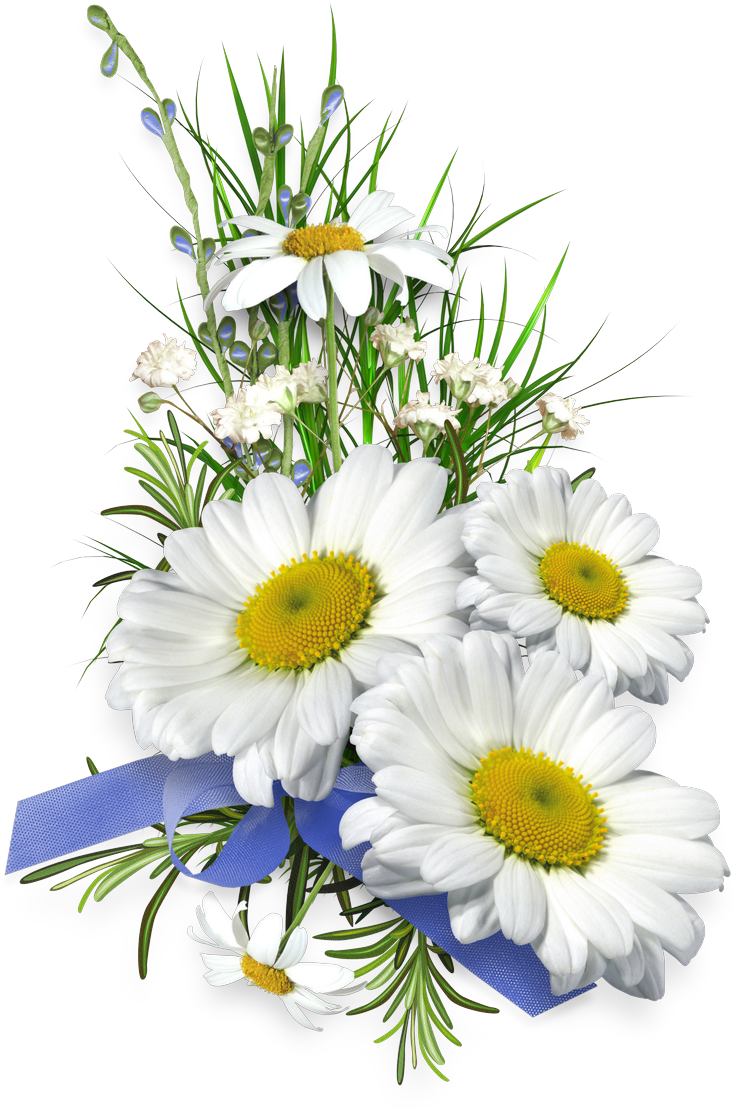 I Love Daisies - Přání K Svátku Anna (777x1152)