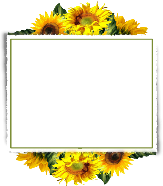Download Png - Download Png (600x600)