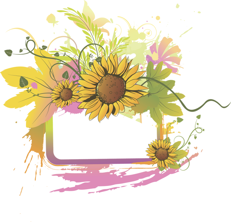 Common Sunflower Wedding Invitation Euclidean Vector - Common Sunflower Wedding Invitation Euclidean Vector (800x770)