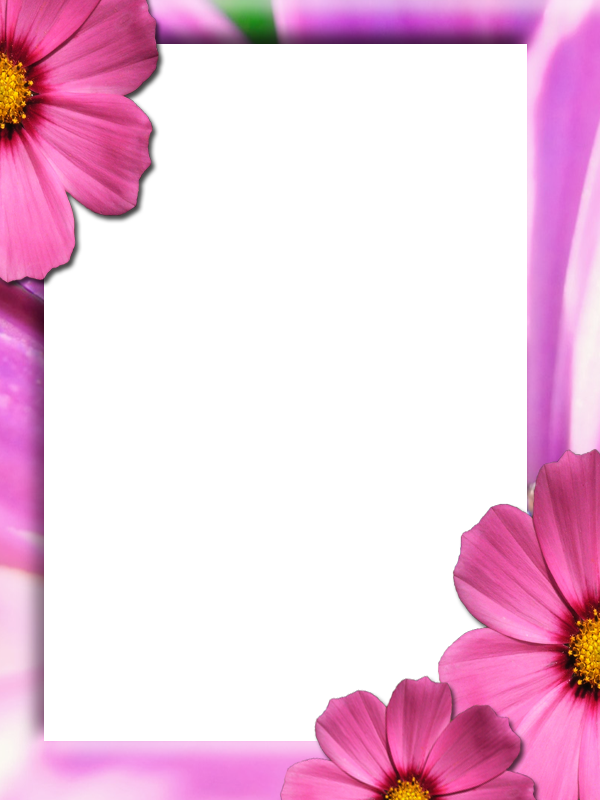 Pin Bunga Png Hawaii Dermatology On Pinterest - Picture Frame (600x800)