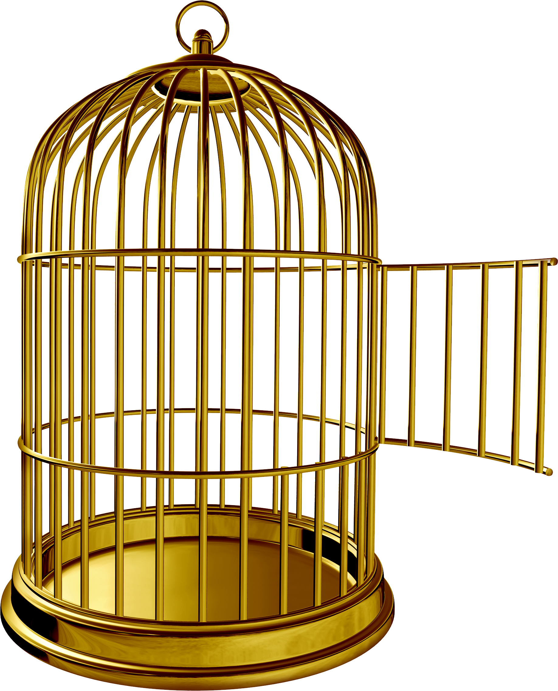 Birdcage Parrot Clip Art - Birdcage Parrot Clip Art (1836x2272)