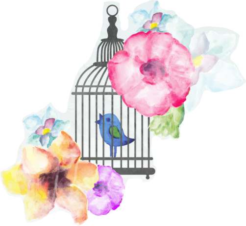 Water Colour Bird Cage Png (502x462)