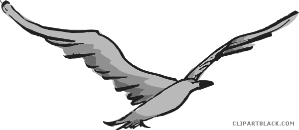 Flying Bird Animal Free Black White Clipart Images - Clip Art (600x261)