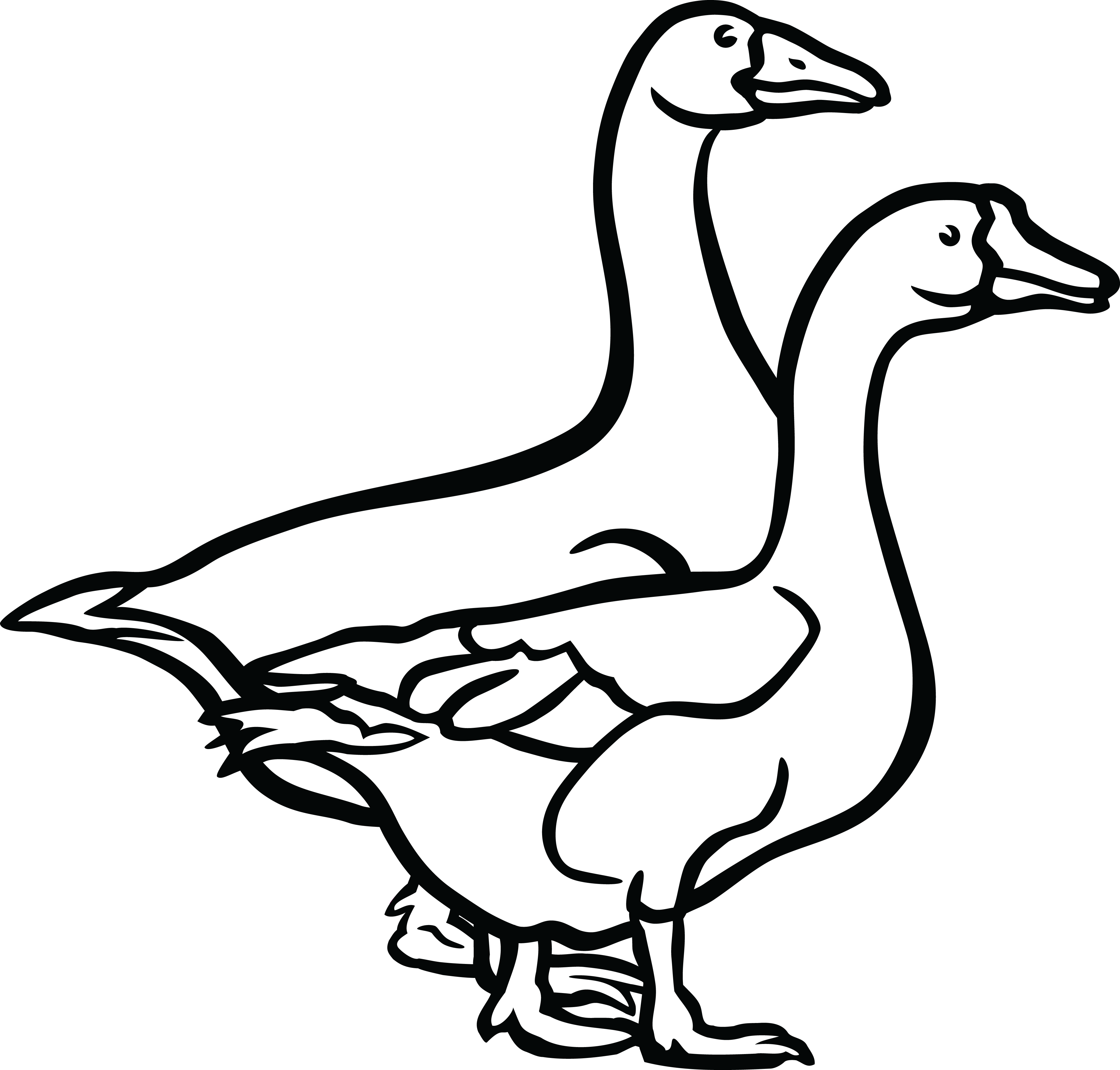 Free Clipart Of A Black And White Pair Of Geese - Goose Black And White (4000x3824)