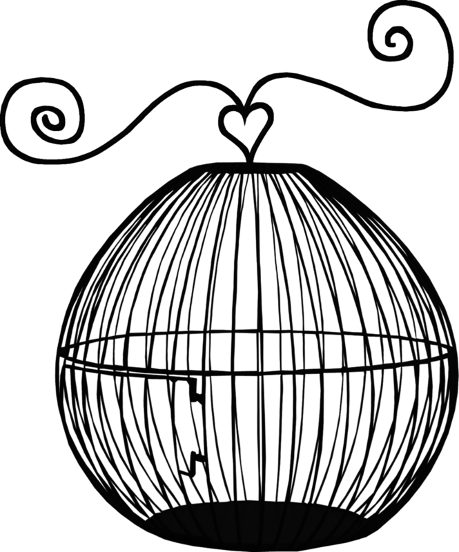 Empty Bird Cages - Birdcage (665x800)