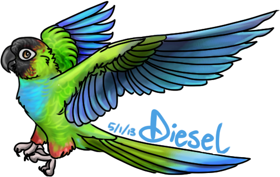 [ Img] - Blue Throated Conure Art (570x370)