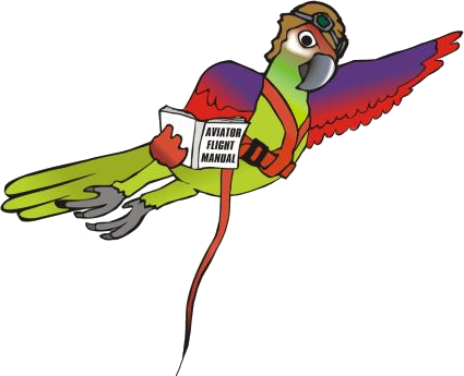 Bird Harness Safety Check List - Bird Harness (425x345)