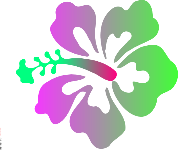 Hibiscus Clip Art (600x513)