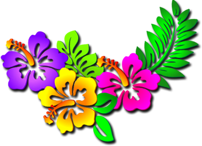 Hibiscus Jamaica Ltd - Hibiscus (414x299)