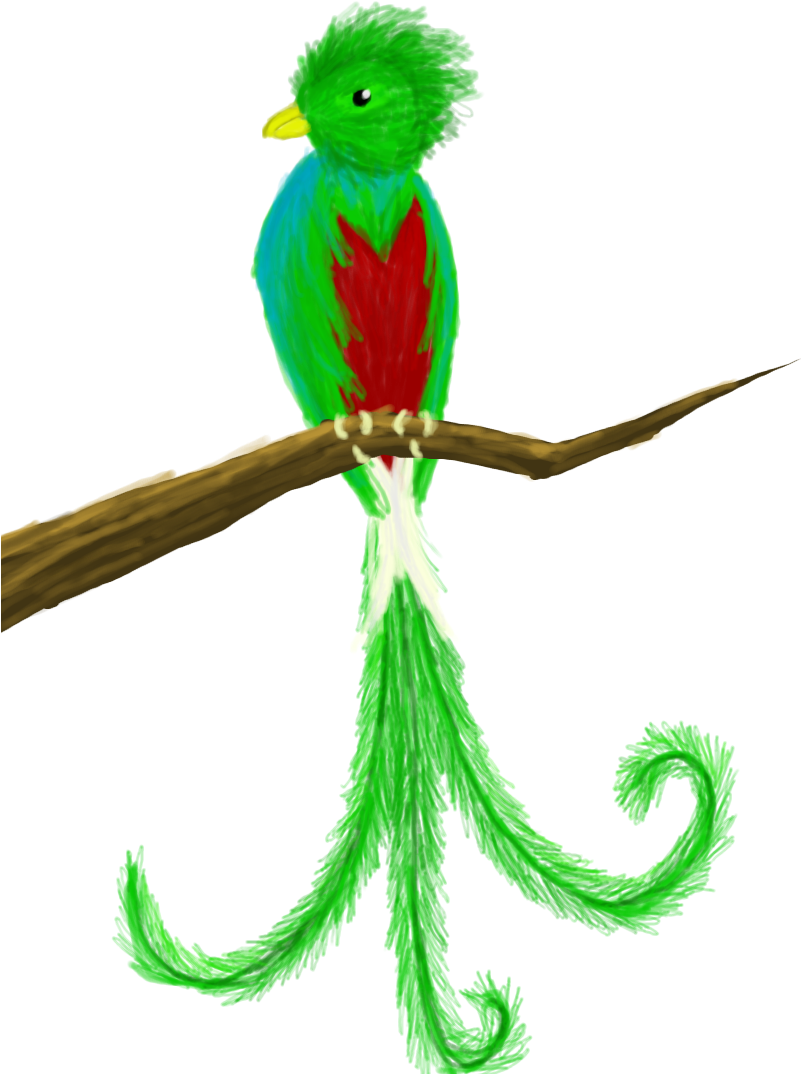 Quetzal By Rkaydee Quetzal By Rkaydee - Quetzal Bird Clip Art (800x1200)