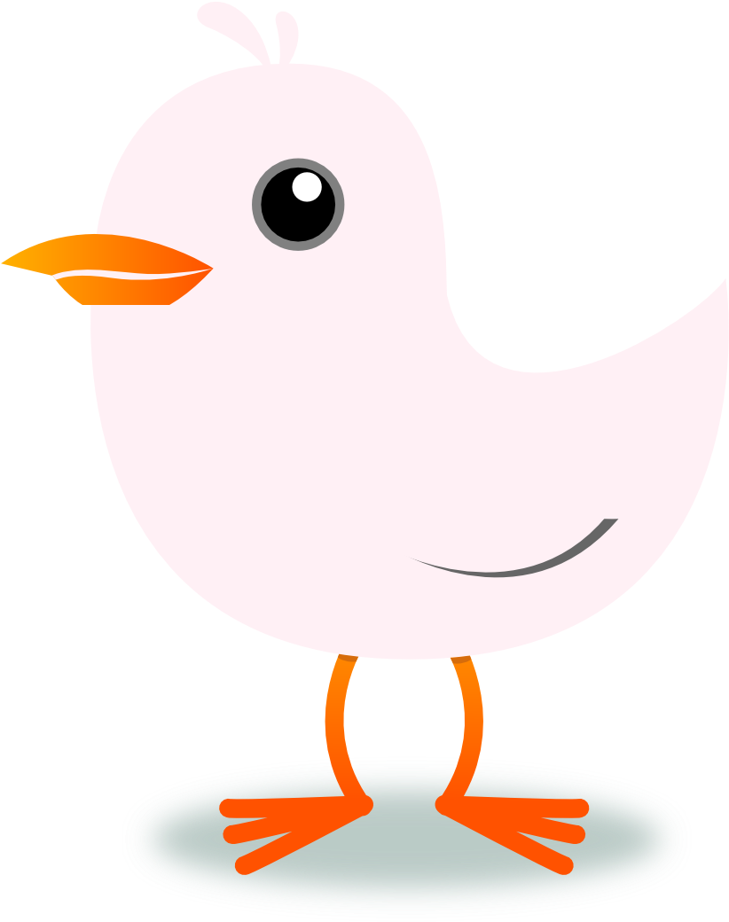 Tweet Twitter Bird Lavender Blush 1 Xochi - Wallpaper (1111x1101)