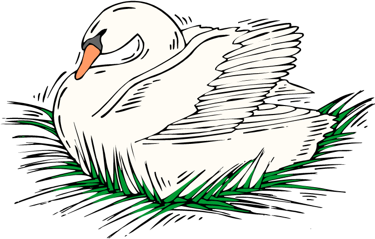 Nesting Swan - Swacy Schwan Grußkarte (750x519)