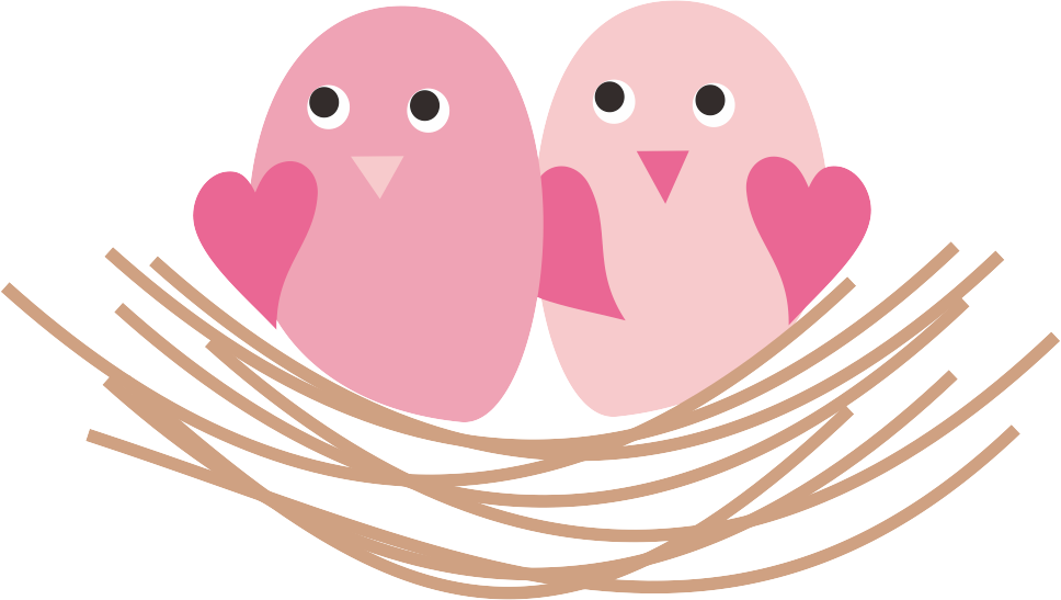 Birdnest - Adhesive (968x547)