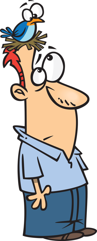 I Had An Old College Professor Who Used To Say, "you - Bird (324x800)