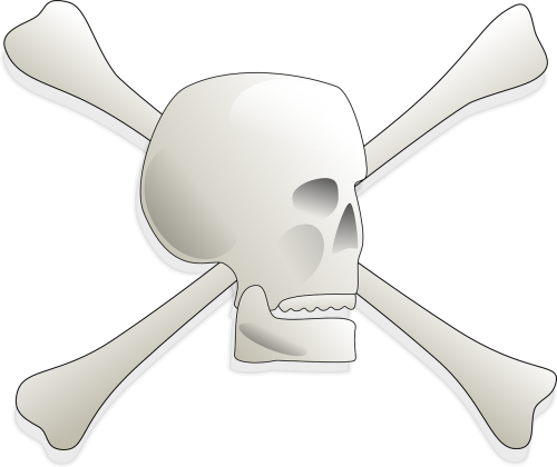 Skull And Bones (500x420)