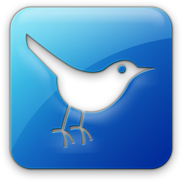 Voting Information And Ballot Initiative Info - Twitter Icon (420x420)