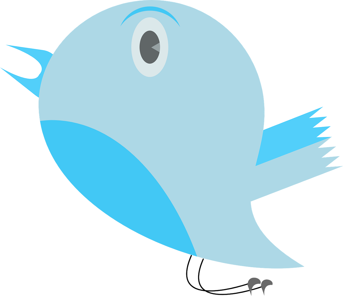 Twitter, Bird, Blue, Funny, Songbord - Blue Bird Animation Png (1200x1036)