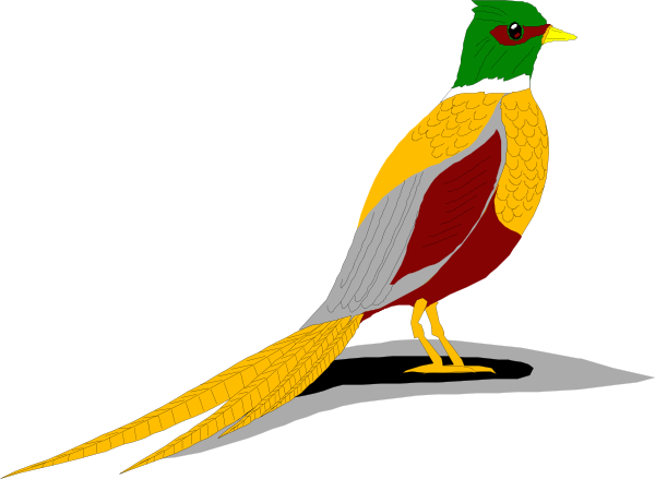 Ring Necked Pheasant Clip Art - Ring Necked Pheasant Clip Art (600x439)