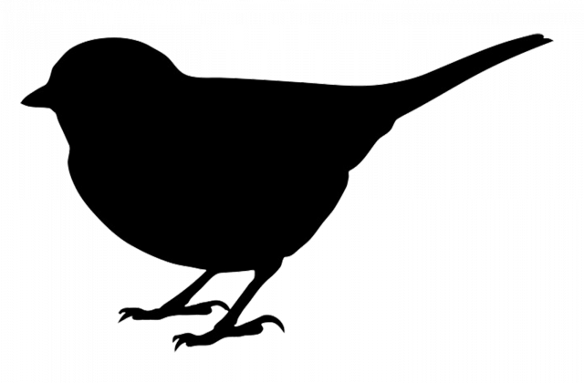 Love Bird Silhouette Clipart Clipart Suggest - Silhouette Of A Bird (640x420)