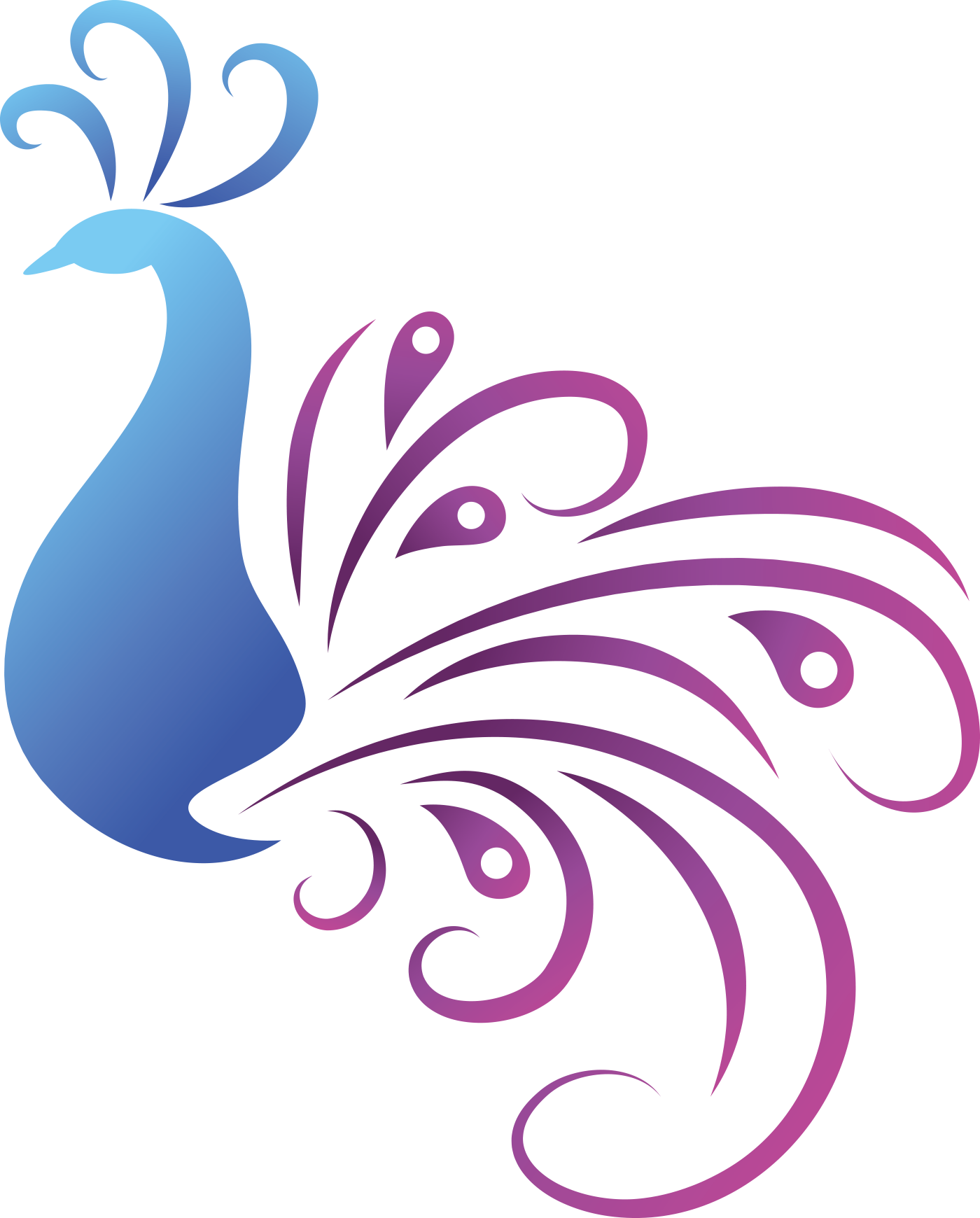 Peafowl Bird Clip Art - Peafowl Bird Clip Art (1400x1740)