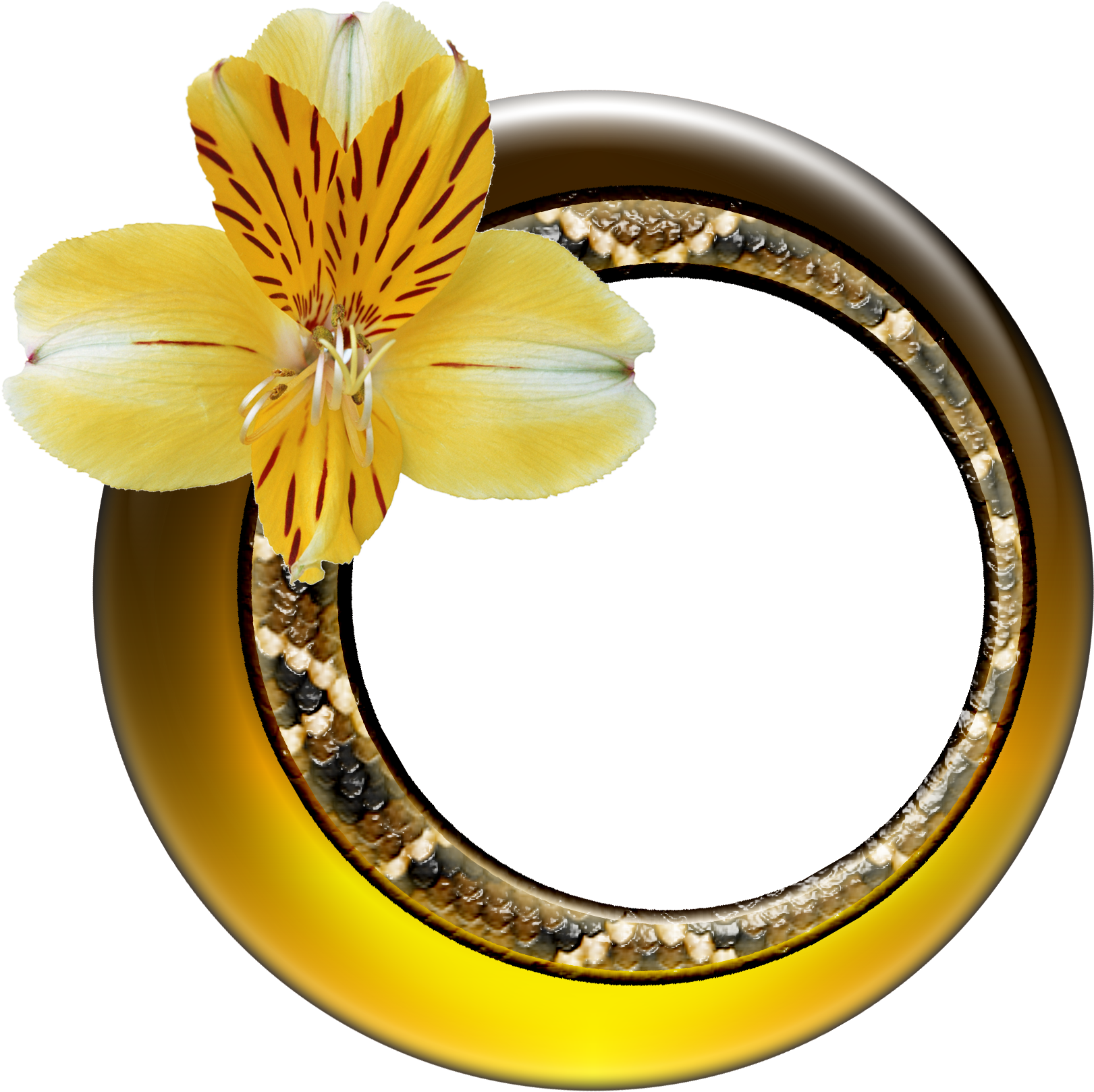 Free Round Picture Frame Png - Free Round Picture Frame Png (2100x1650)