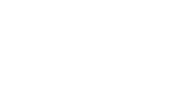 Airplane Silhouteete White Clip Art - White Airplane Silhouette Png (600x340)