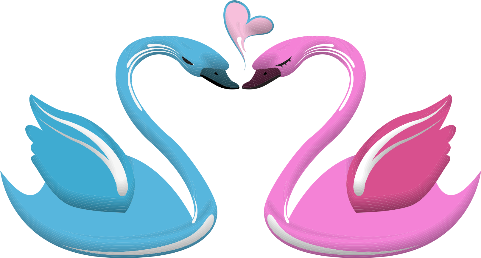 Lovebird Lovebird Black Swan Heart - Cartoon Swan Heart (1685x1057)