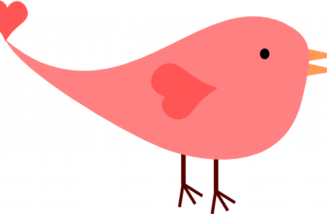 Cute Love Birds Clipart - Cartoon (640x420)