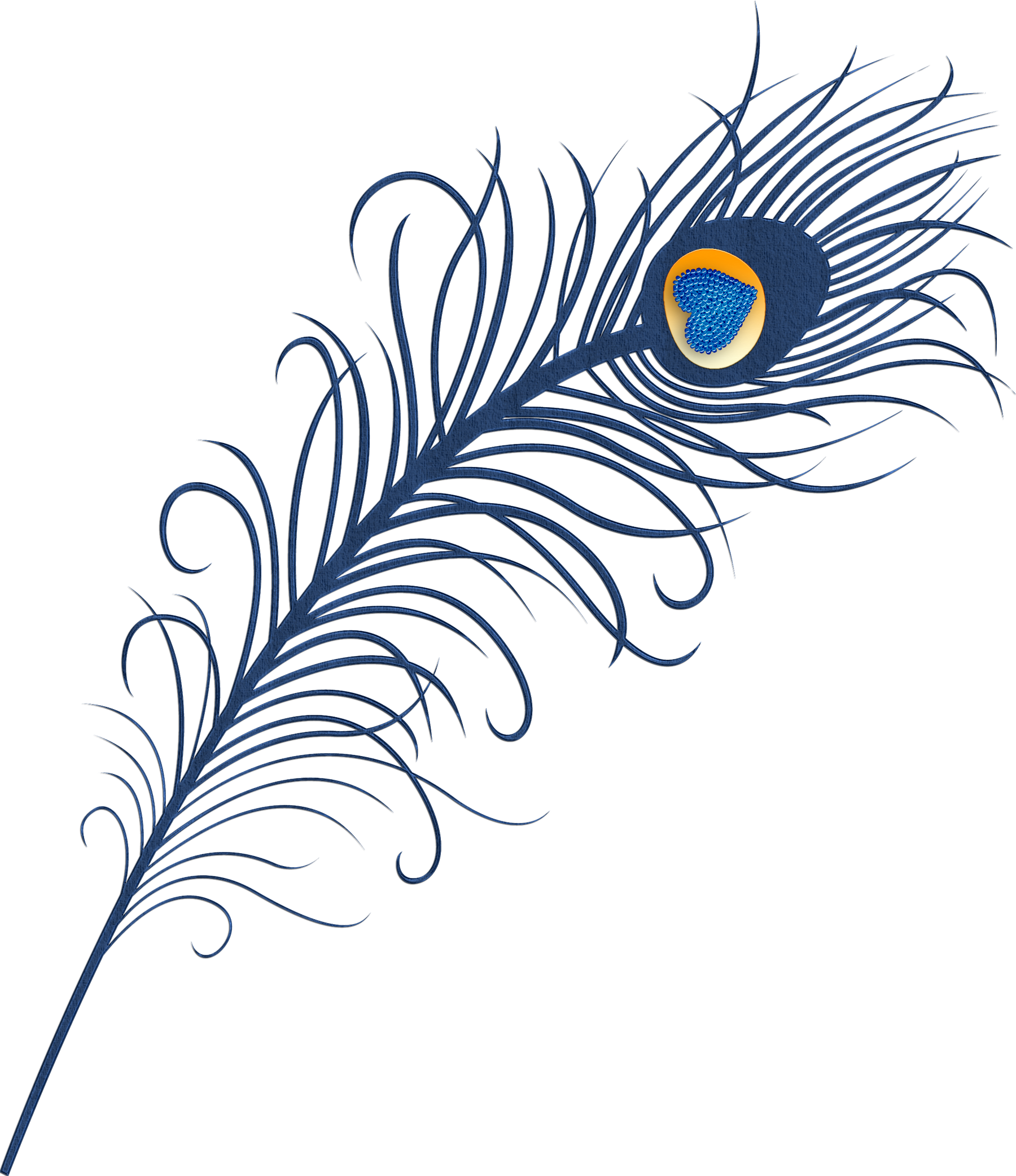 Feather Peafowl Bird Clip Art - Peacock Feathers Clip Art (1800x2083)