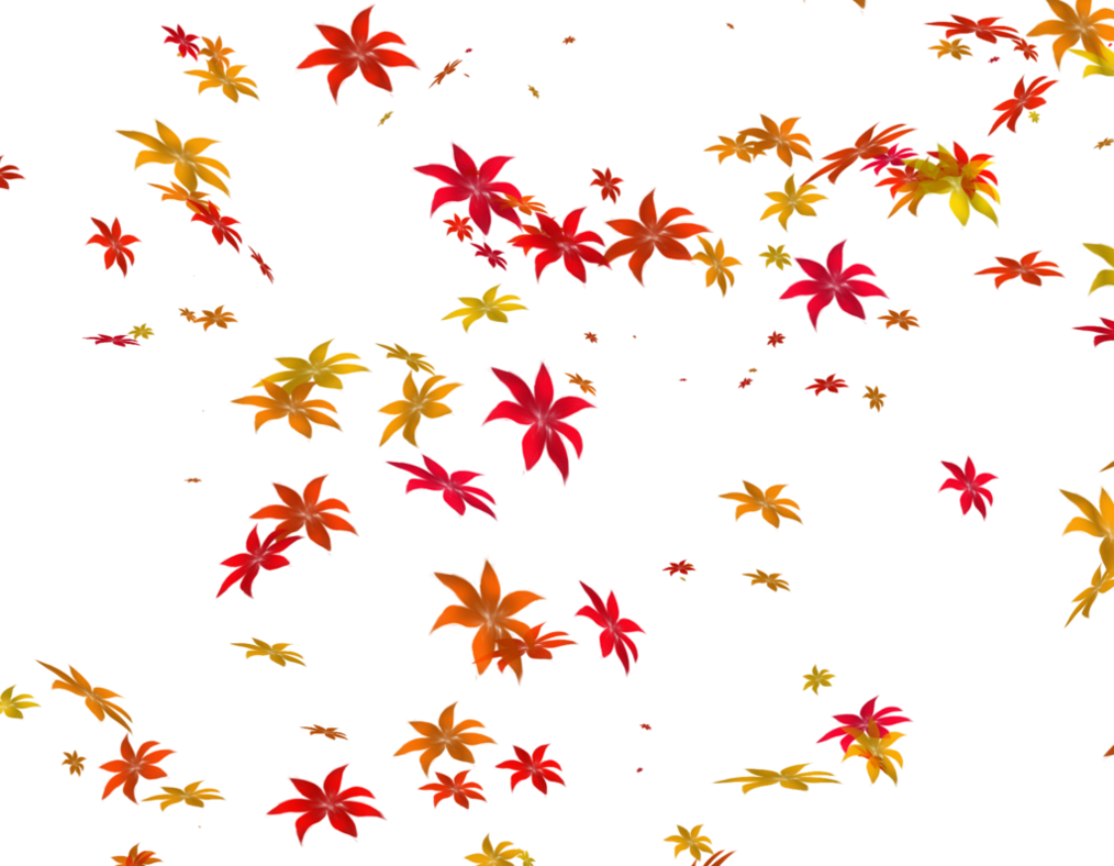 Falling Flowers Png Transparent By Theartist100 - Flowers Png (1014x788)